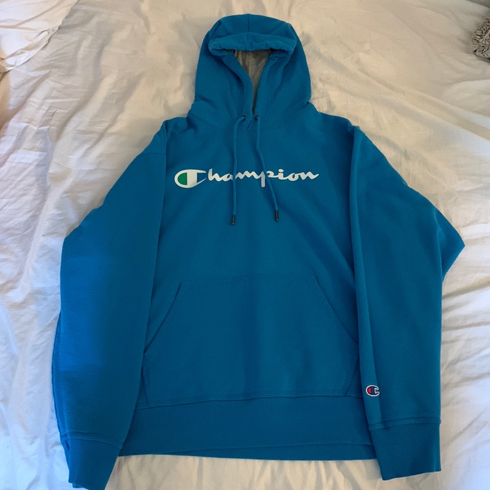 blue with green detailing champion hoodie, size large in mens.